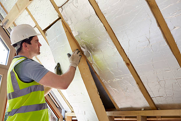 Best Attic Insulation Installation  in Summerlin South, NV