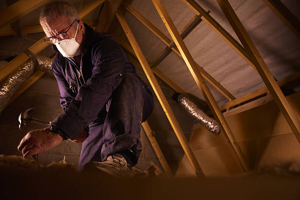 Best Local Insulation Services  in Summerlin South, NV